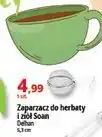 E.Leclerc Zaparzacz do herbaty i ziół soan Delhan oferta