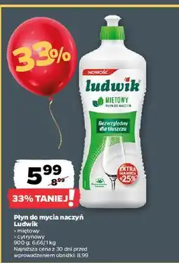 Netto Płyn do mycia naczyń miętowy Ludwik oferta