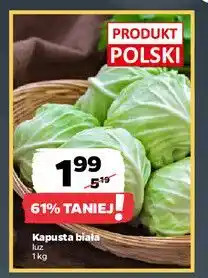 Netto Kapusta biała polska oferta