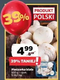 Netto Pieczarki białe Z Zieleniaka Netto oferta