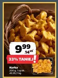 Netto Kurki - całe oferta
