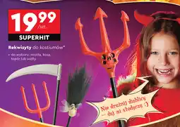 Biedronka Miotła wiedźmy oferta