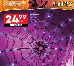 Biedronka Pajęczyna led oferta