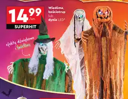 Biedronka Kościotrup led oferta