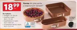 Biedronka Forma owalna 30.5 x 12 cm oferta
