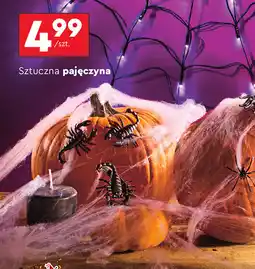 Biedronka Sztuczna pajęczyna oferta
