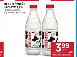 Stokrotka Market Mleko Łaciate oferta