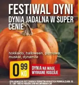Market Jan Dynia Halloween oferta