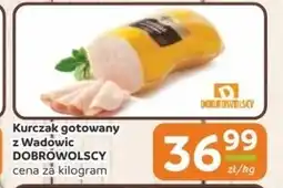 Społem Kurczak gotowany Dobrowolscy oferta