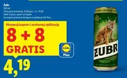 Lidl Piwo Żubr oferta