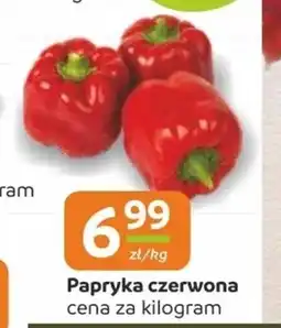 Społem Papryka oferta