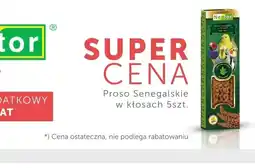 ARA Proso Senegalskie oferta