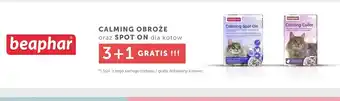 ARA Beaphar Calming Obroże oraz Spot On oferta