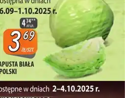 Społem Szczecin Kapusta biała z Polski oferta