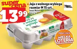 Topaz Jaja z wolnego wybiegu rozmiar M 15 szt. Invest Michel oferta