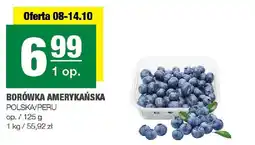 Spar Borówka amerykańska 125g SPAR oferta