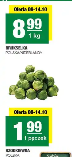 Spar Rzodkiewka 1 pęczek SPAR oferta