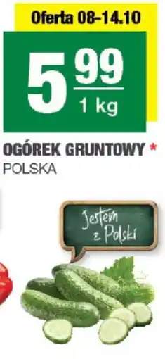 Spar Ogórek gruntowy oferta