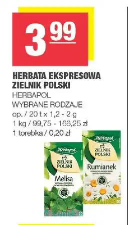 Spar Herbata ekspresowa zielnik polski Herbapol 20x1,2g oferta