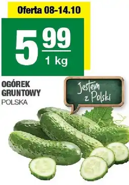 Spar Ogórek gruntowy 1kg POLSKA oferta