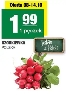 Spar Rzodkiewka 1 pęczek POLSKA oferta