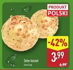 ALDI Seler korzeń Aldi oferta