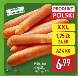 ALDI Marchew 4 kg XXL Aldi oferta