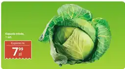 Biedronka Kapusta młoda 1 szt. Biedronka oferta