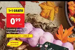 Biedronka Czosnek polski 1 szt. Biedronka oferta