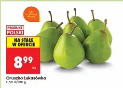 Biedronka Gruszka Lukasówka Biedronka oferta