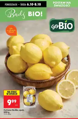 Biedronka Cytryny opak. 500 g goBIO oferta