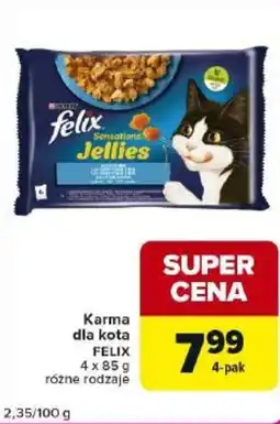 Carrefour Express Karma dla kota FELIX oferta
