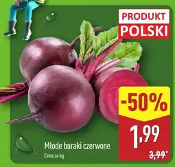 ALDI Młode buraki czerwone Aldi oferta
