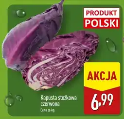 ALDI Kapusta stożkowa czerwona Aldi oferta