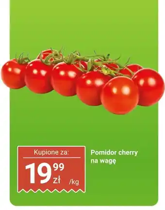 Dino Pomidor cherry na wagę Dino oferta