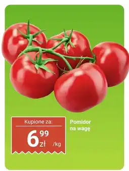 Dino Pomidor na wagę Dino oferta