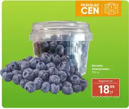 Dino Borówka Amerykańska 300g Dino oferta