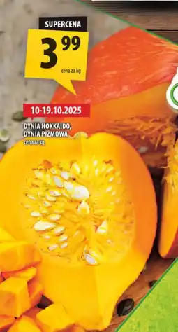 Arhelan Dynia hokkaido, dynia piżmowa Arhelan oferta