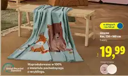 Lidl Livarno Koc oferta