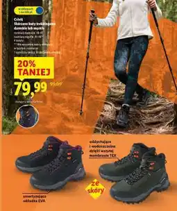 Lidl Crivit Skórzane buty trekkingowe damskie lub męskie oferta