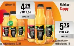 Eurocash Nektar: Cappy jabłkowy oferta