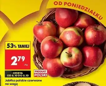 Biedronka Jabłka polskie oferta