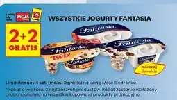 Biedronka Jogurt z płatkami w czekoladzie Danone Fantasia oferta