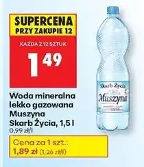 Biedronka Woda lekko gazowana Muszyna Skarb Życia oferta
