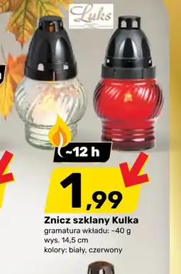 Bricomarche Znicz oferta
