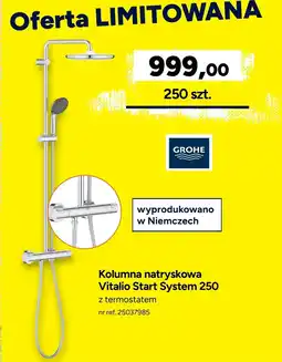 Bricoman Kolumna natryskowa Vitalio oferta