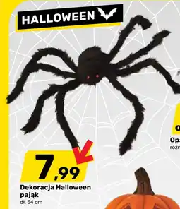 Bricomarche Dekoracja halloween Halloween oferta