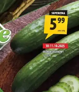 Arhelan Ogórek AA oferta