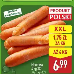 ALDI Marchew Polski oferta