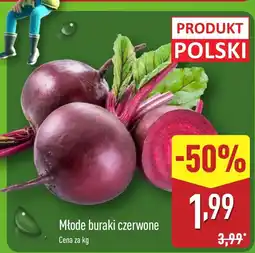 ALDI Buraki młode oferta